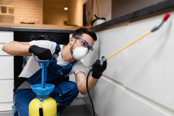 Best Mosquito Control Services  in Ponder, TX