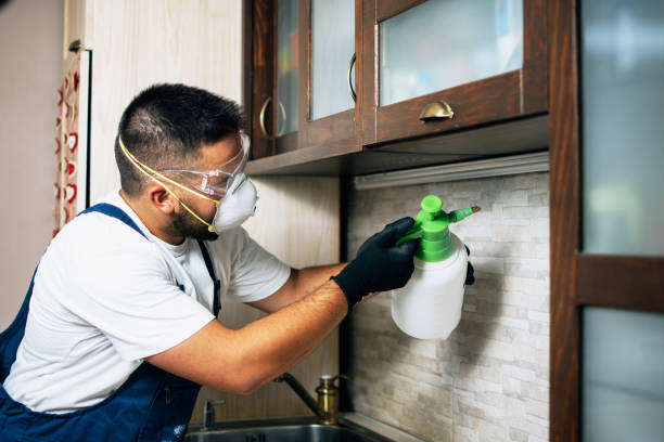  Ponder, TX Pest Control Pros