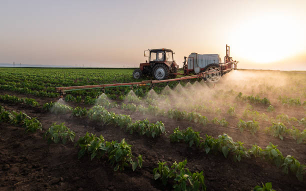Best Local Pest Control Services  in Ponder, TX