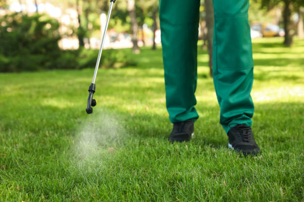 Best Local Pest Control Services  in Ponder, TX