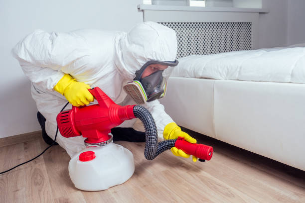Flea Control Services in Ponder, TX