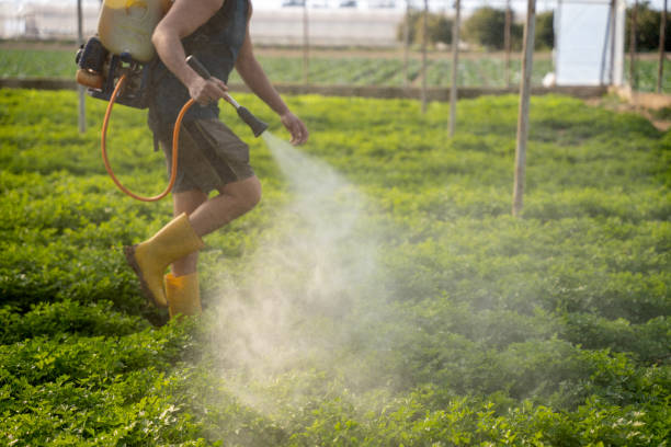 Best Residential Pest Control  in Ponder, TX