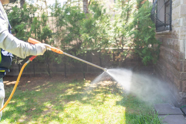 Best Affordable Pest Control Services  in Ponder, TX
