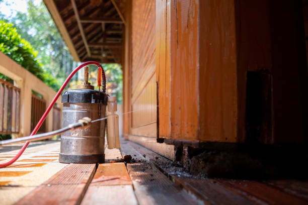 Best Wasp Removal Services  in Ponder, TX