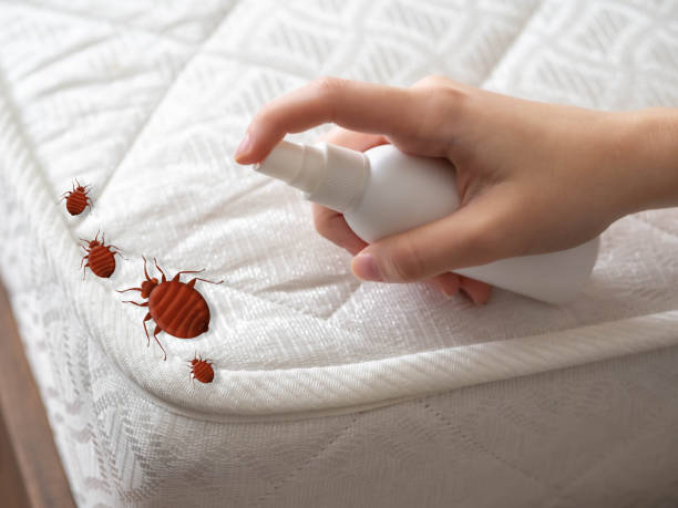 Best Pest Prevention Services  in Ponder, TX
