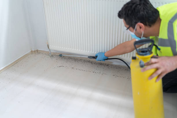 Best Bed Bug Extermination  in Ponder, TX