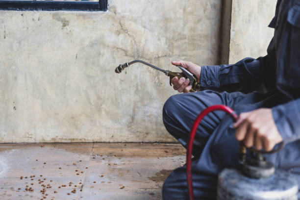 Best Pest Removal Services  in Ponder, TX